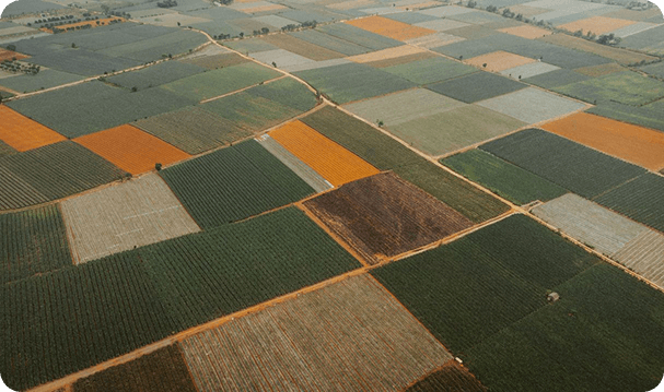 Aerial view of agricultural parcels