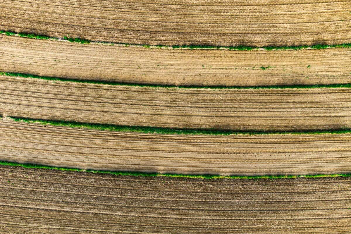 Aerial view of agricultural fields with neatly plowed brown soil and vibrant green rows of vegetation creating curved patterns.
