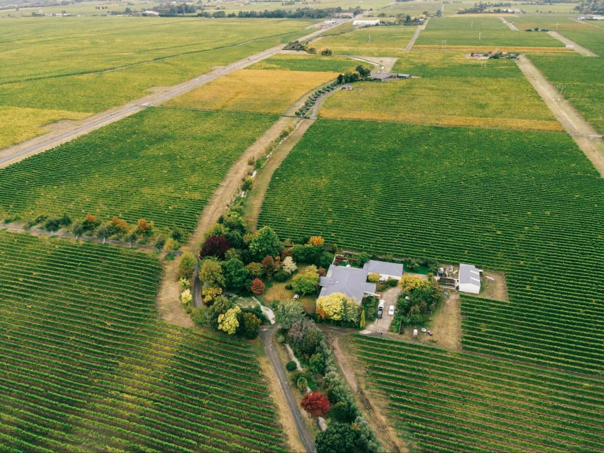 Aerial view of a lush vineyard with colorful tree foliage surrounding a cozy farmhouse and winding dirt paths.