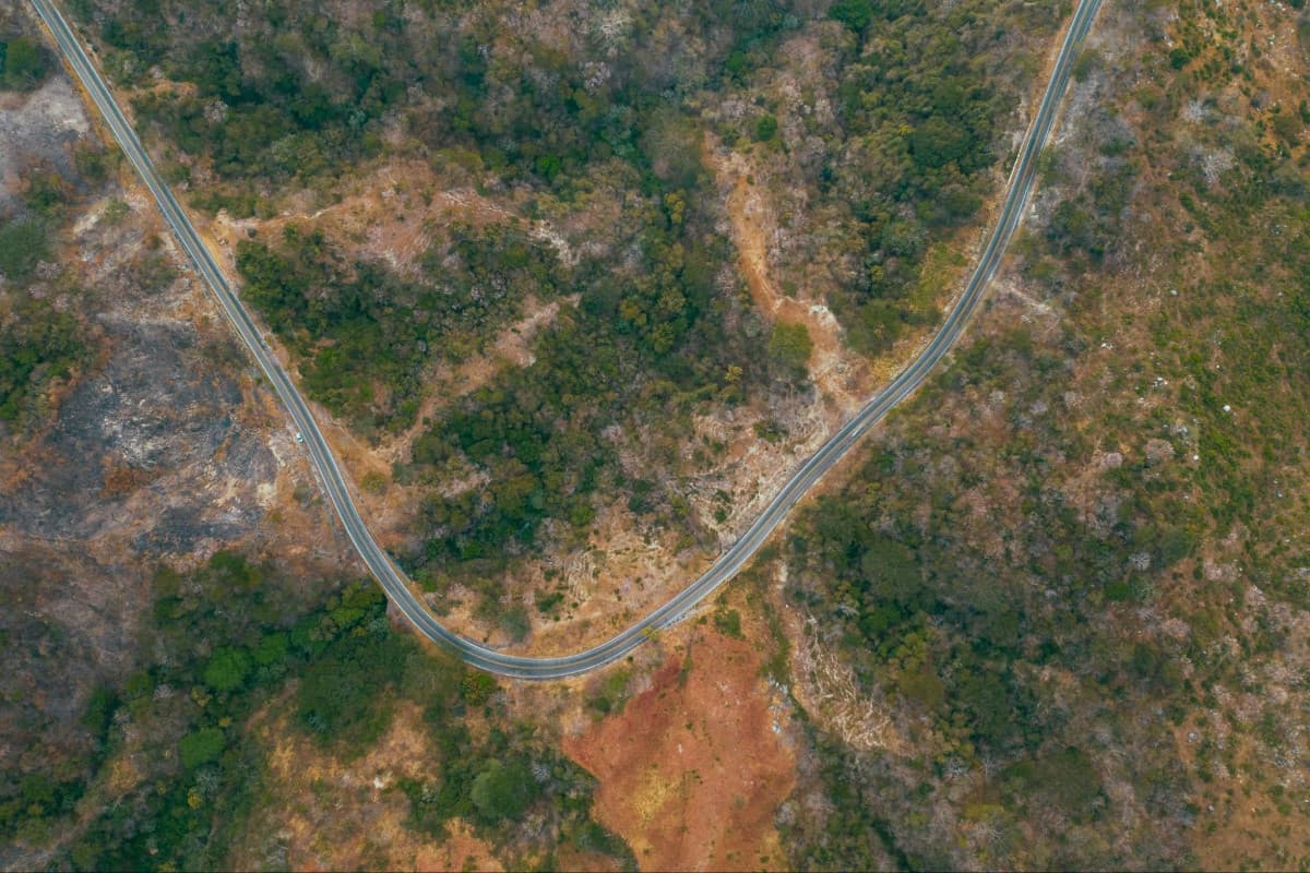 Aerial view of a curving road through a mix of green forests and dry, barren land, showcasing vibrant natural textures and colors.