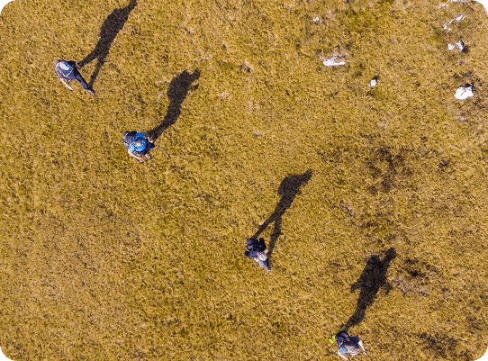 Aerial view of researchers walking across a field