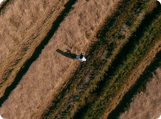 Aerial view of a person walking across a field